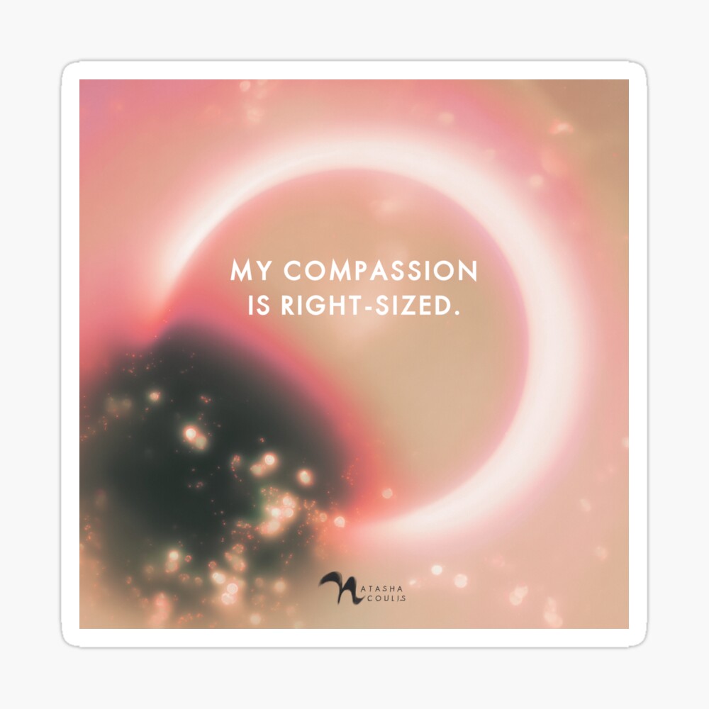 my compassion is right-sized sticker