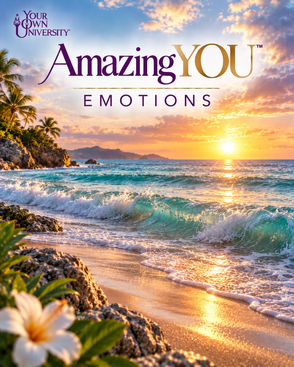 Amazing YOU Power Zone: Emotions (empty image slot)