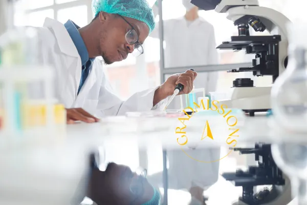 Building a Medical School List Isn’t About Prestige It’s About Strategy 