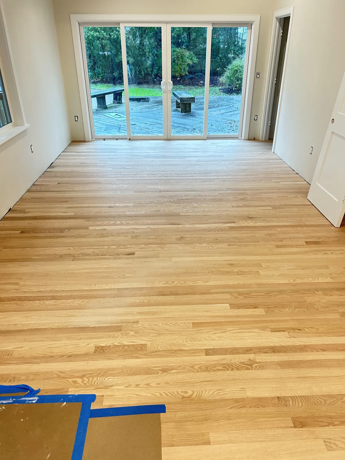 Modern wooden interior with curved architectural elements