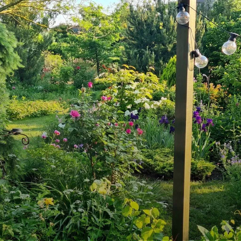 Pihenés pazar, növényritkaságokkal teli virágoskert nyugalmába.Borágó Vendgház Nyíregyháza