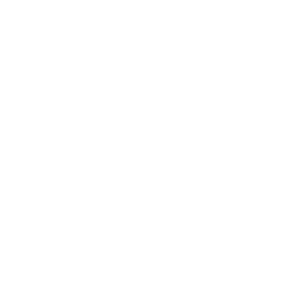licensed & insured contractor icon