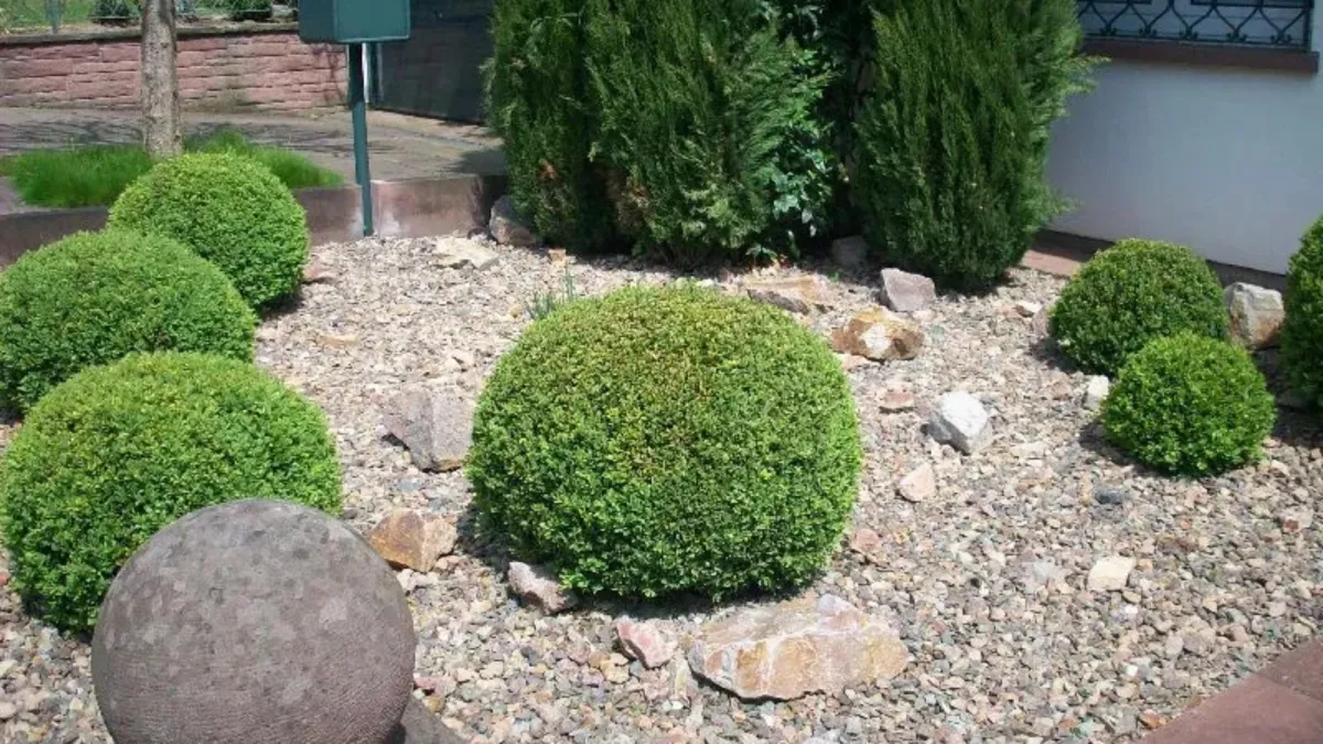 Garten Neuanlage in Nürnberg