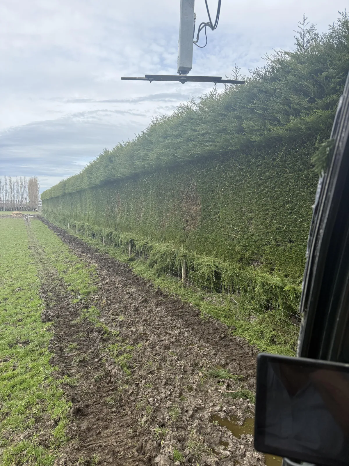 Excavation work by Dean Moore Excavation, showcasing a farm site preparation project in Southland