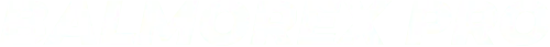 balmorex pro logo