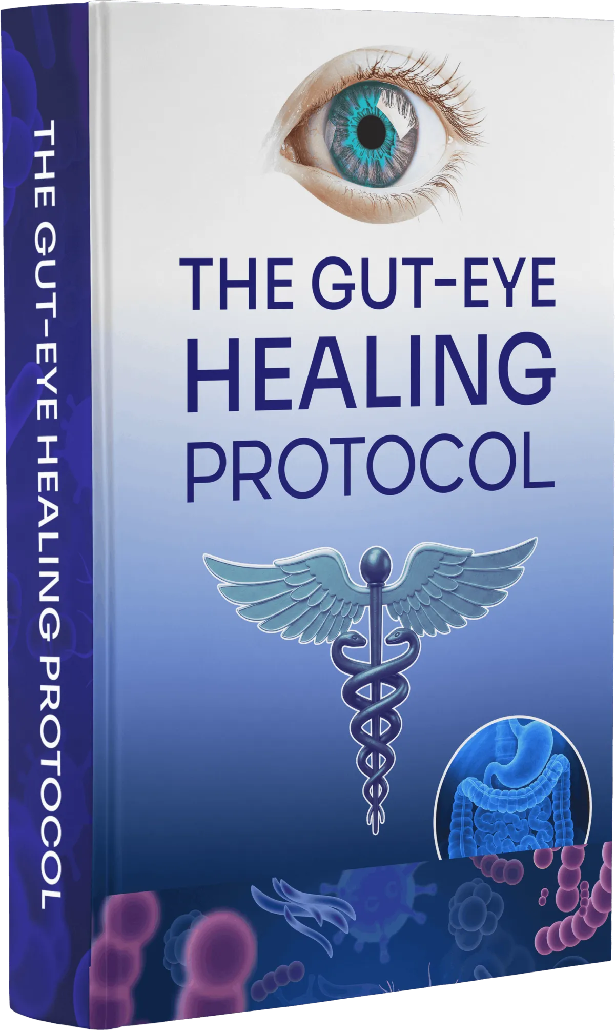 BONUS 2:  The Gut-Eye Healing Protocol