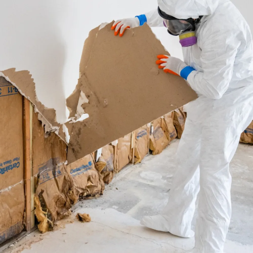 mold and water damage restoration technician in knoxville tn