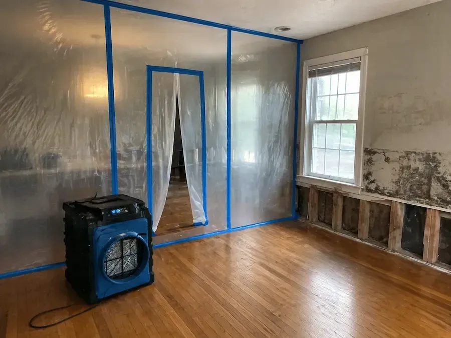 mold remediation services in a knoxville home after water damage