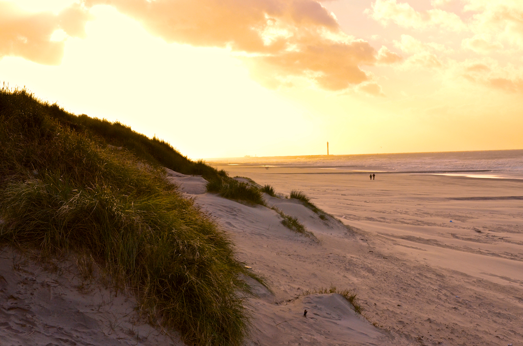 Strand en duinen in Bredene vlak bij Café De Zeemeeuw
