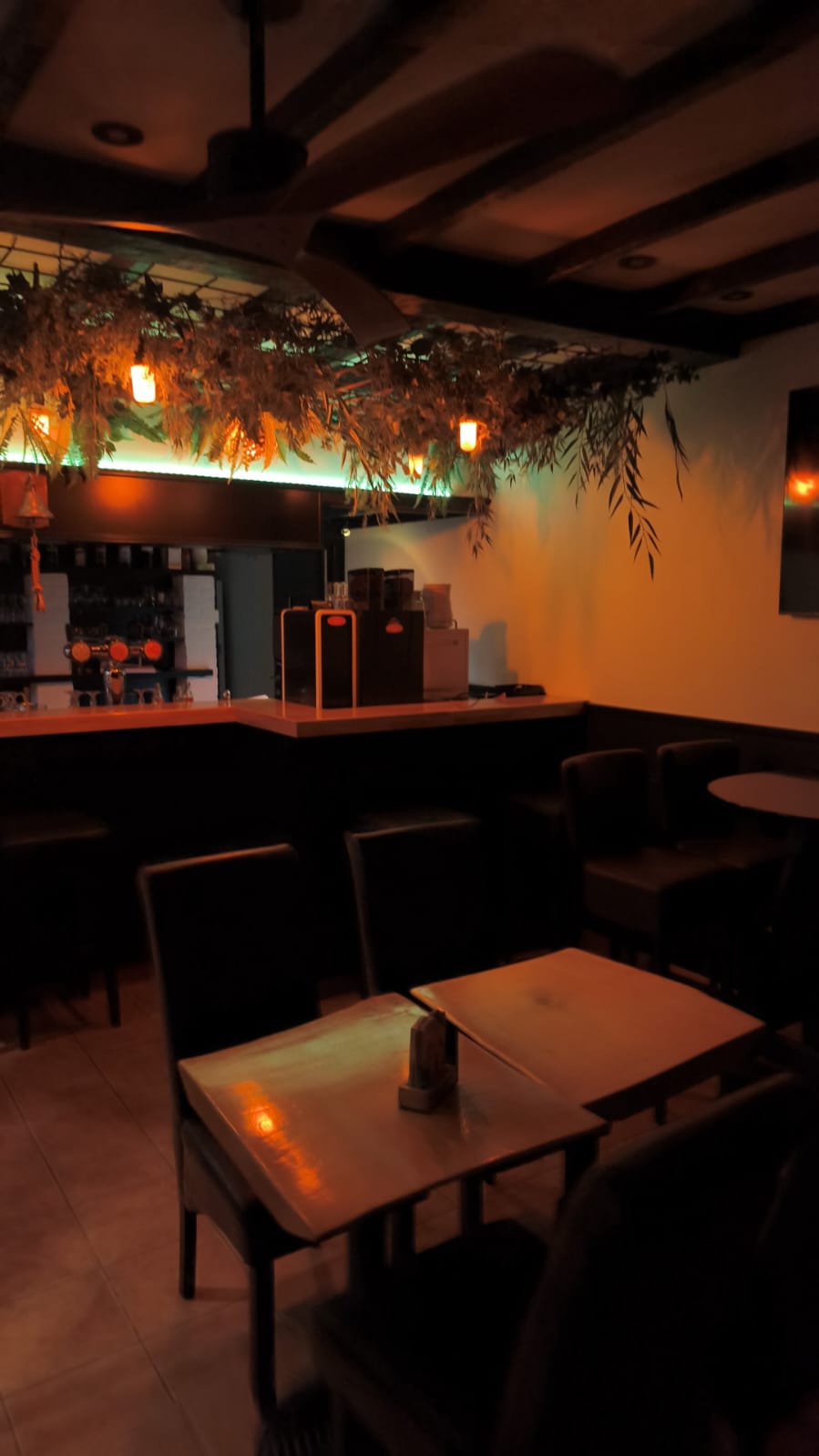 Gezellig interieur van Café De Zeemeeuw in Bredene vlak bij zee