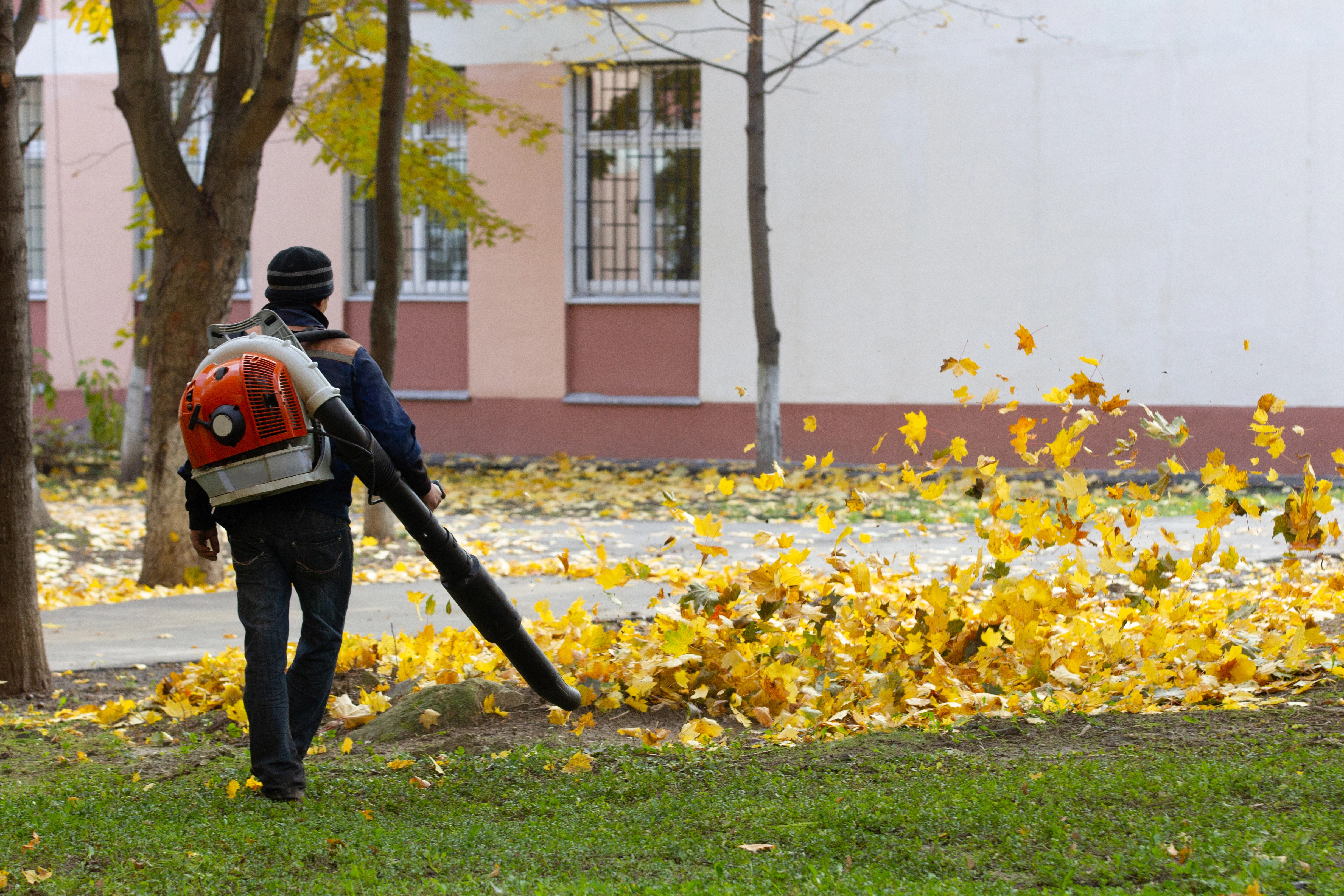 Fall cleanup service in Cedar Falls by Cedar Falls Lawn and Snow