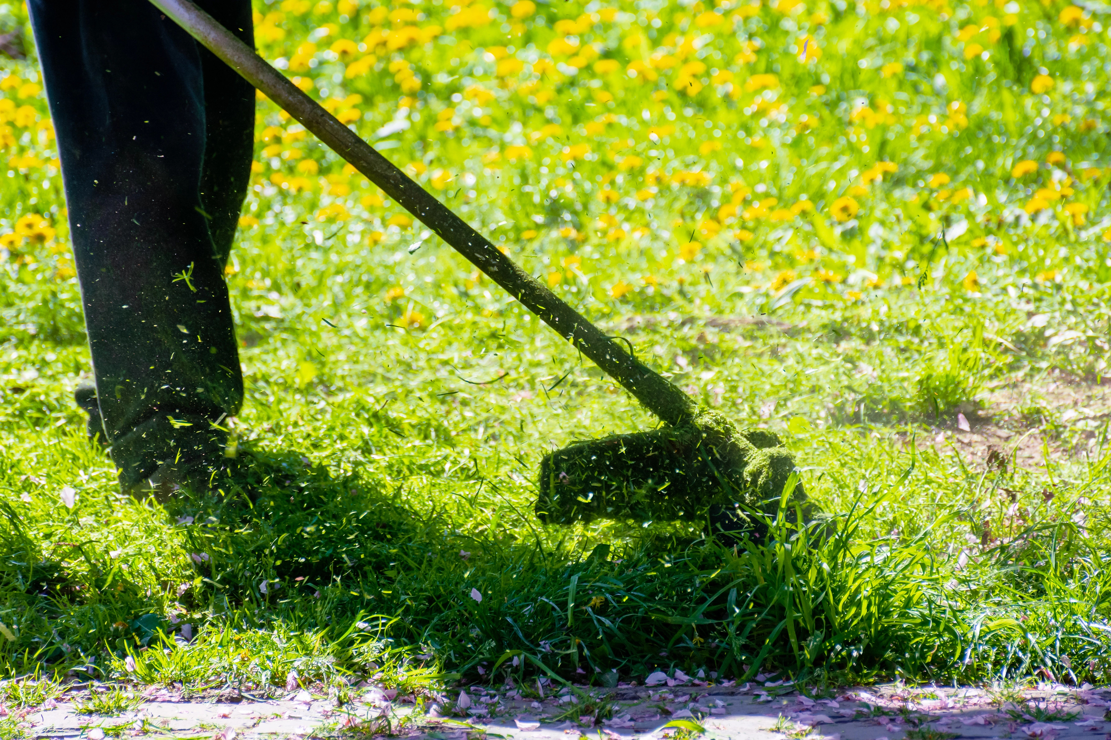 Professional lawn edging in Cedar Falls by Cedar Falls Lawn and Snow