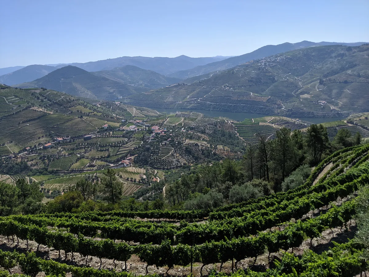 Portugal: Why the Douro Valley Deserves a Week, Not a Day