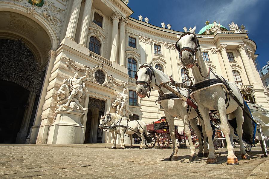 Vienna, Bratislava & a Very Good Excuse to Eat More Cake