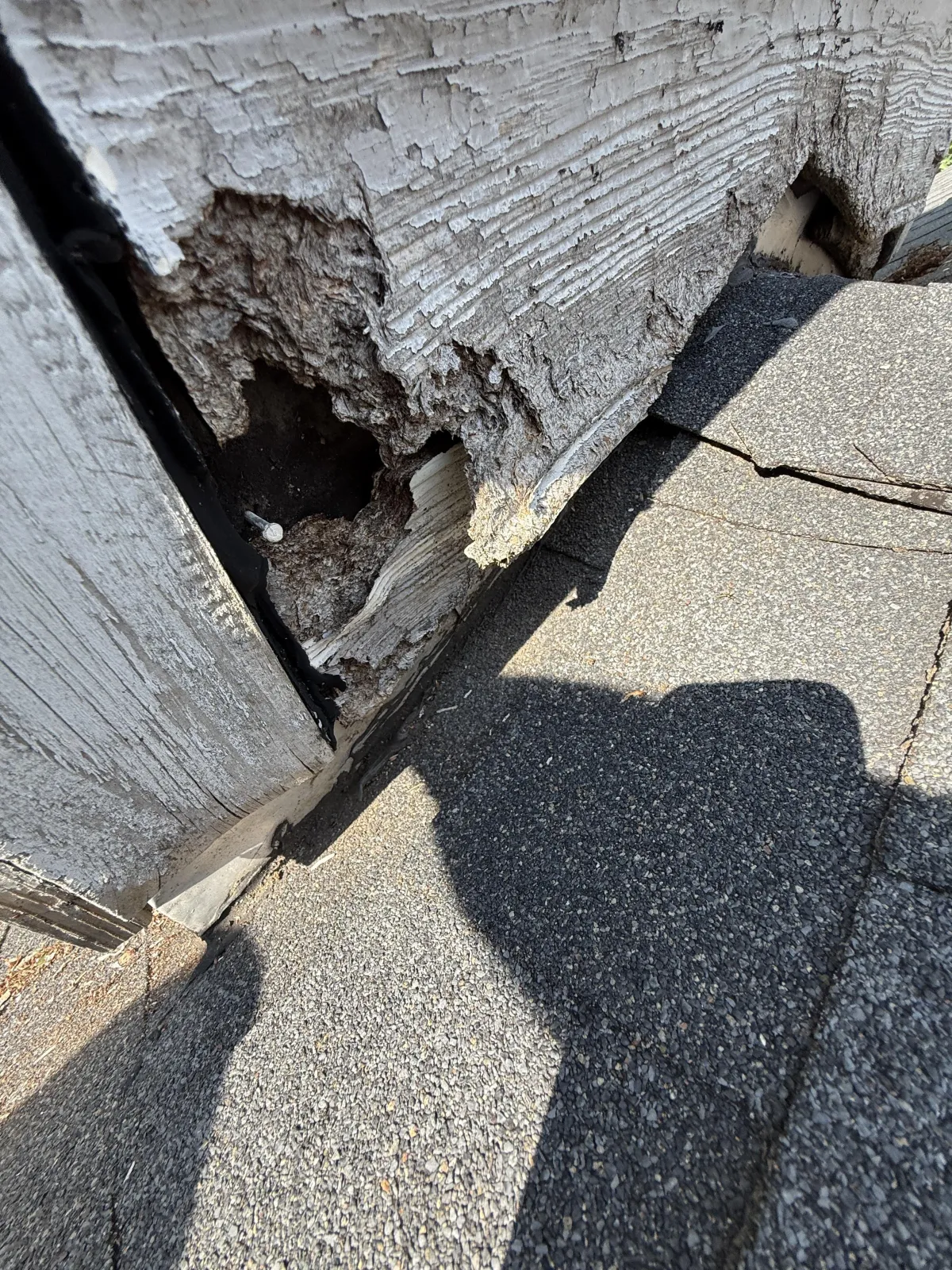 Close-up of severe wood rot and a large hole in the siding panel of a structure near a shingle roof.