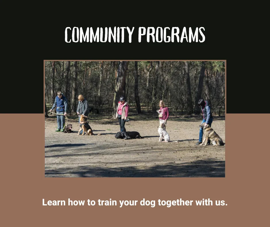 group of dogs with their handlers preparing for training class with a tree line as the back drop