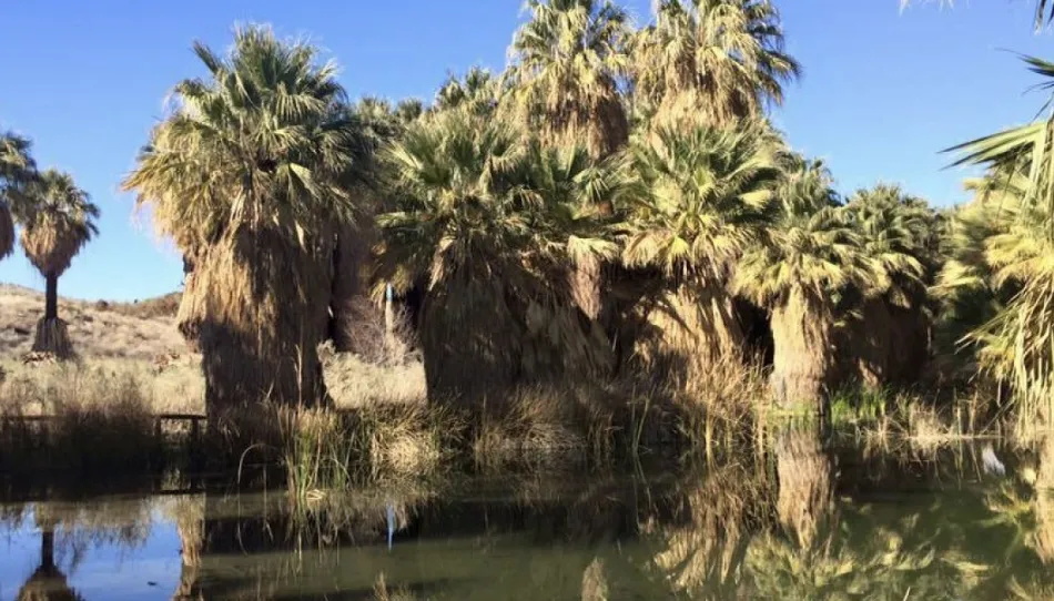 COACHELLA VALLEY PRESERVE