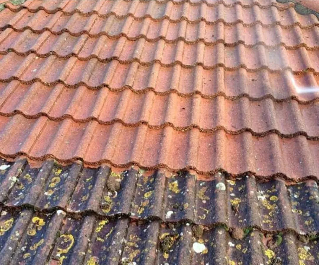 Construction Company Blackwater - Branchwise team carrying out roof repair work