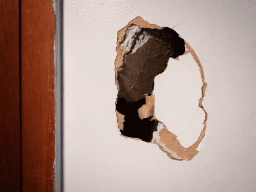  Drywall Repair