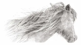 Wyld Horses Art Logo