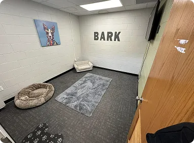 Outdoor play area at All Tails 'R' Waggin'