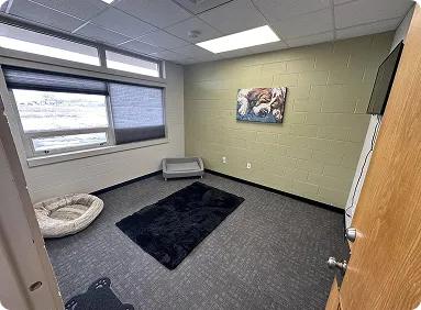 Spacious indoor dog daycare play area