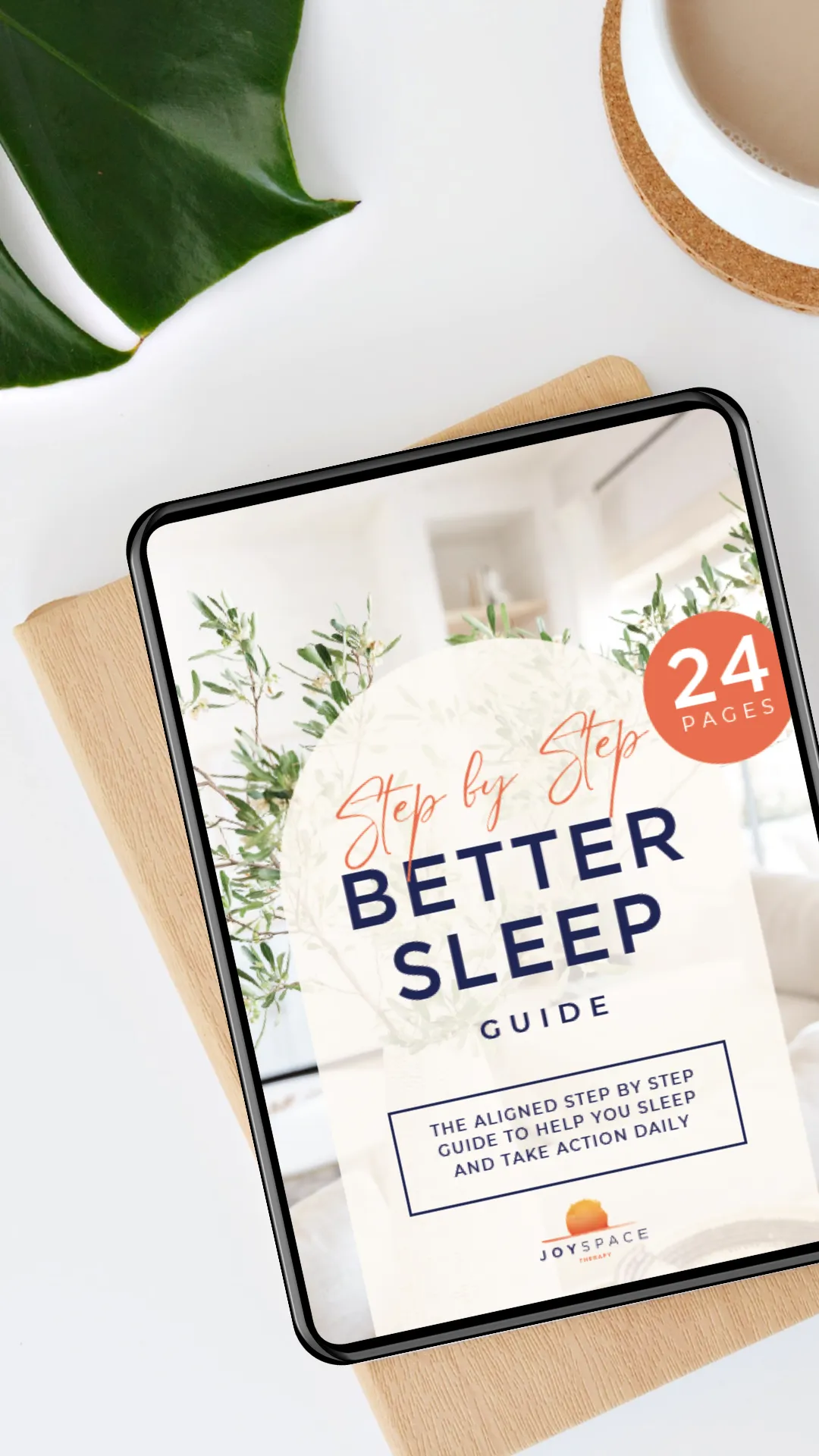Free Step by Step Sleep Guide