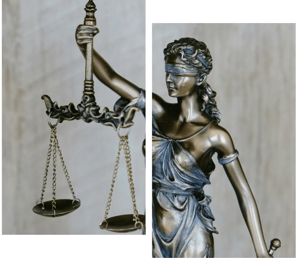 Adler Legal Pyrmont About Us