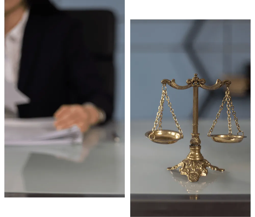 Adler Legal About Us