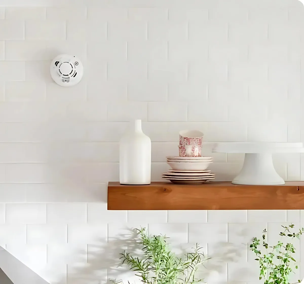 Vivint Safety Alarms