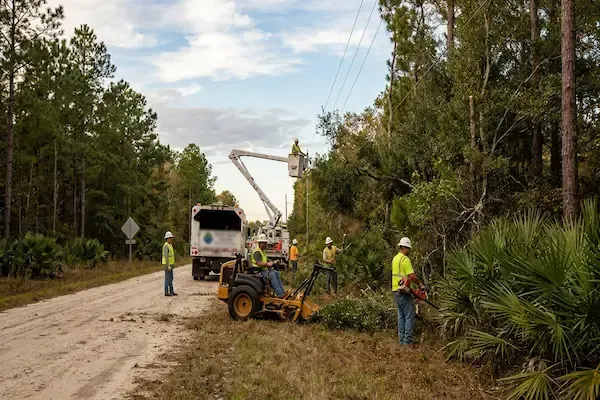 Who Handles Right-of-Way Maintenance in Lexington County — and How to Find the Right Contractor