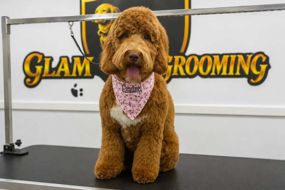 Premium Coat Treatments