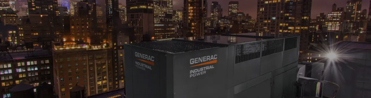 pink flower plant beside signage