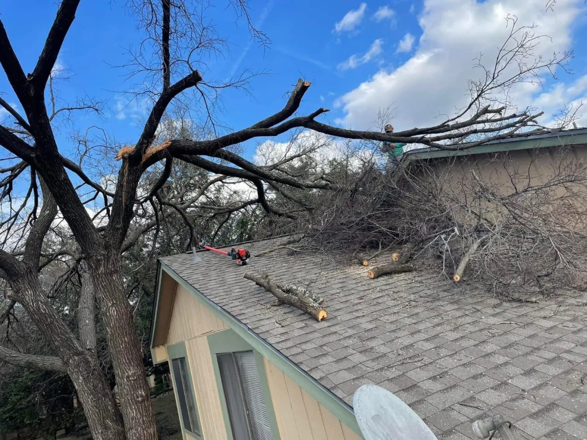 AJ’s Tree Service N More LLC