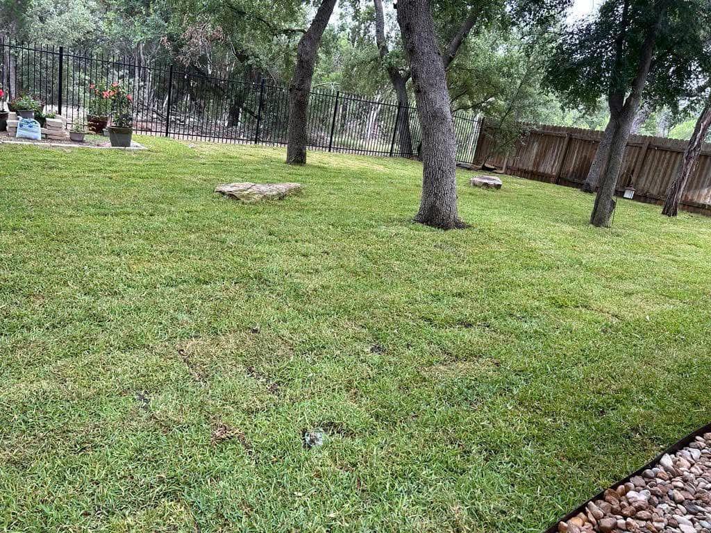 Landscaping Services- AJ’s Tree Service N More LLC