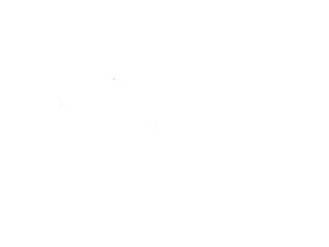 Healing with Horses Ranch Logo