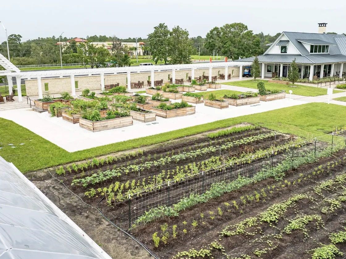 Living the Green Dream: Discover Angeline in Land O' Lakes