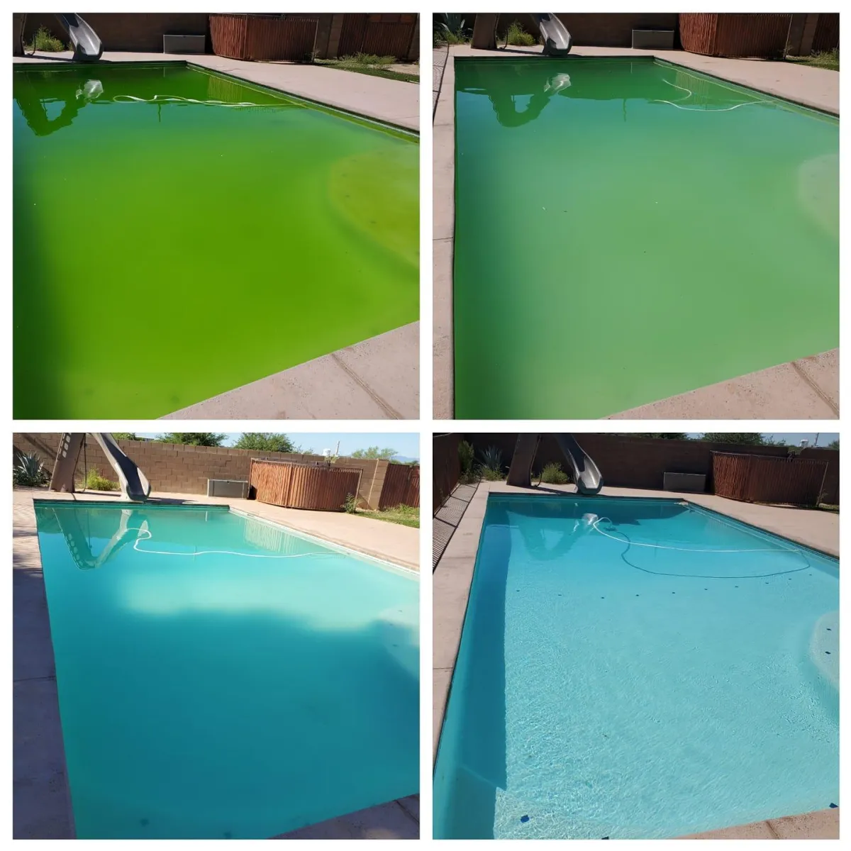 "Before and after transformation of a green, algae-filled pool restored to crystal-clear water with professional cleaning and treatment."