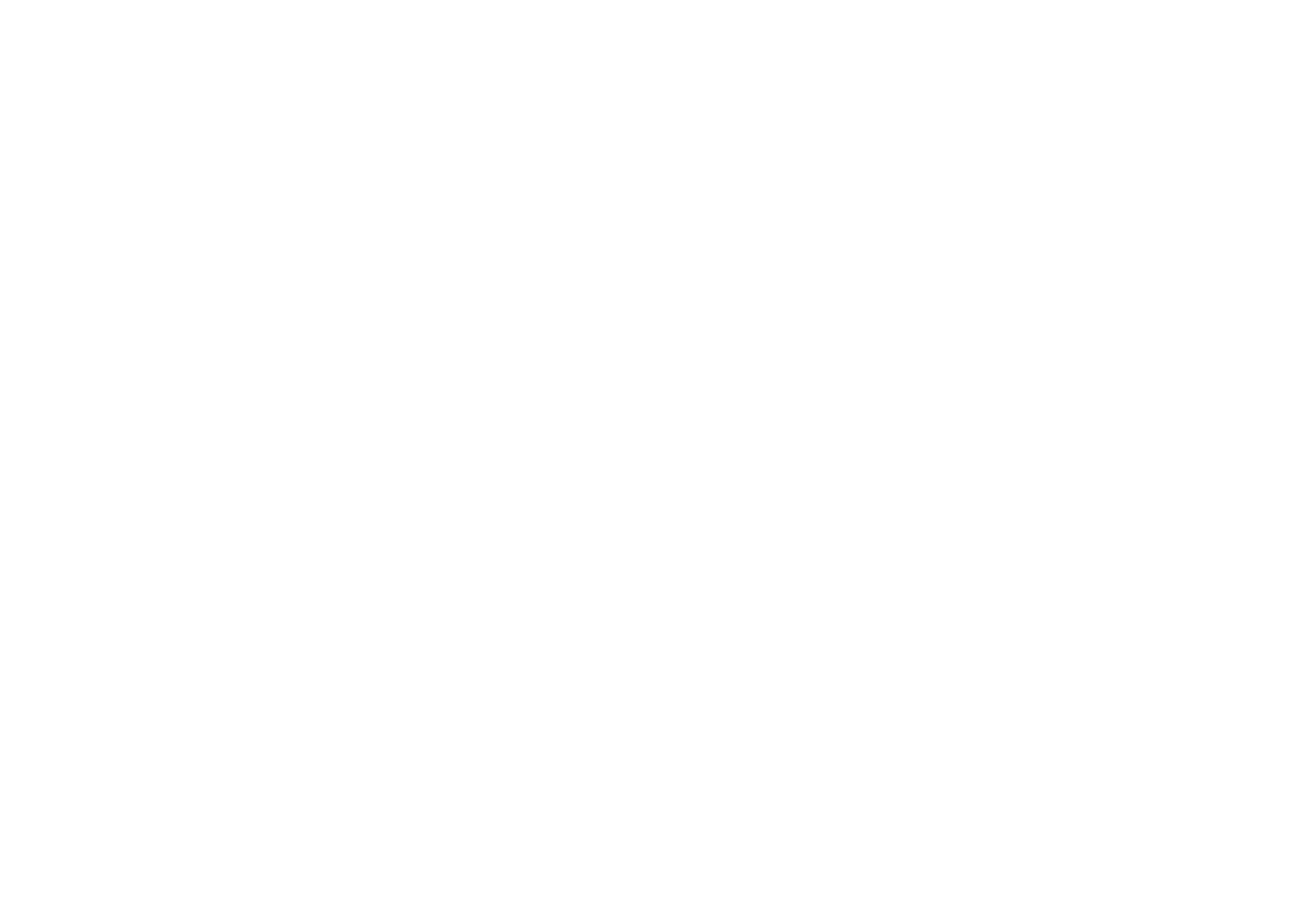 Lone Bear Tactical