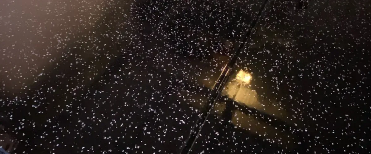 Glossy black epoxy floor with speckle pattern under dim lighting