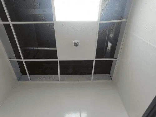 Fan Specialist Dexter