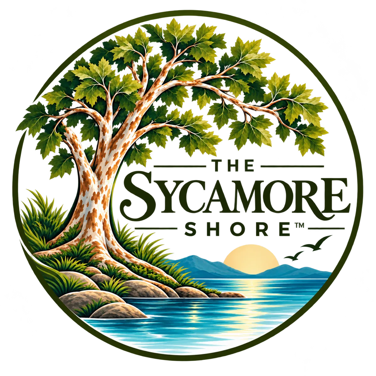 The Sycamore Shore logo