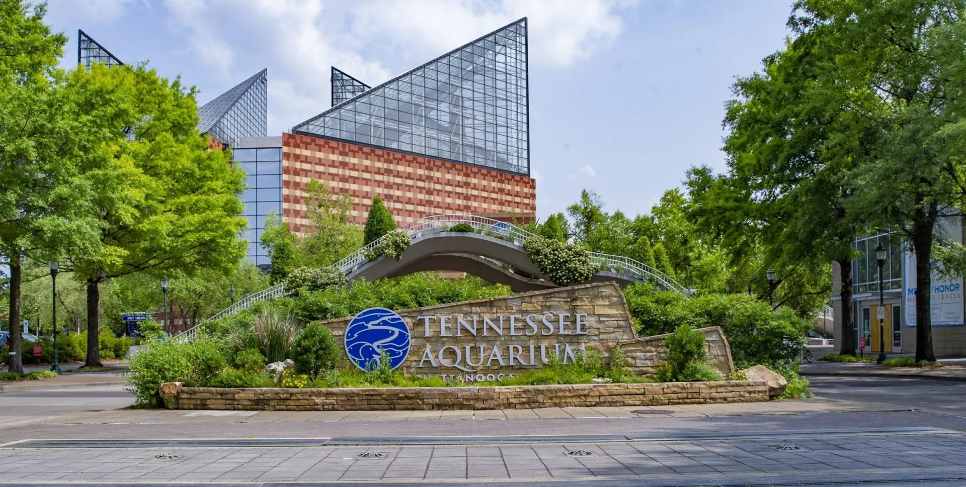 Dive Into Adventure at the Tennessee Aquarium – Chattanooga, Tennessee 🐠🌊