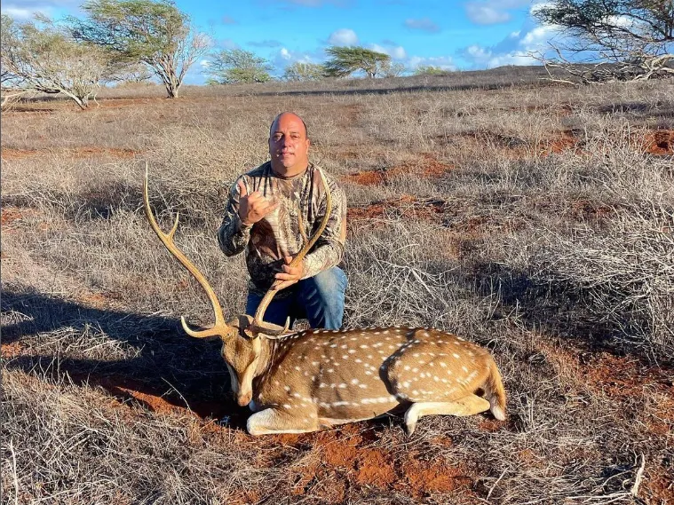 Can You Deer Hunt in the Rain in Hawaii?