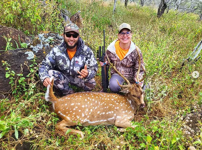 How to Choose a Guided Deer Hunting Outfitter in Hawaii