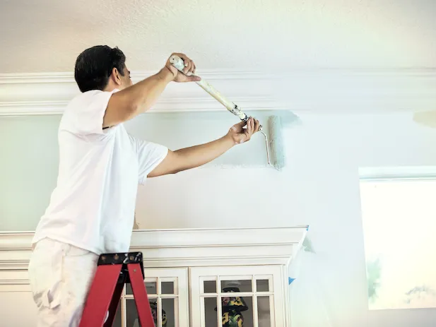 Revive your space with a flawless paint job that’s clean, professional, and stress-free