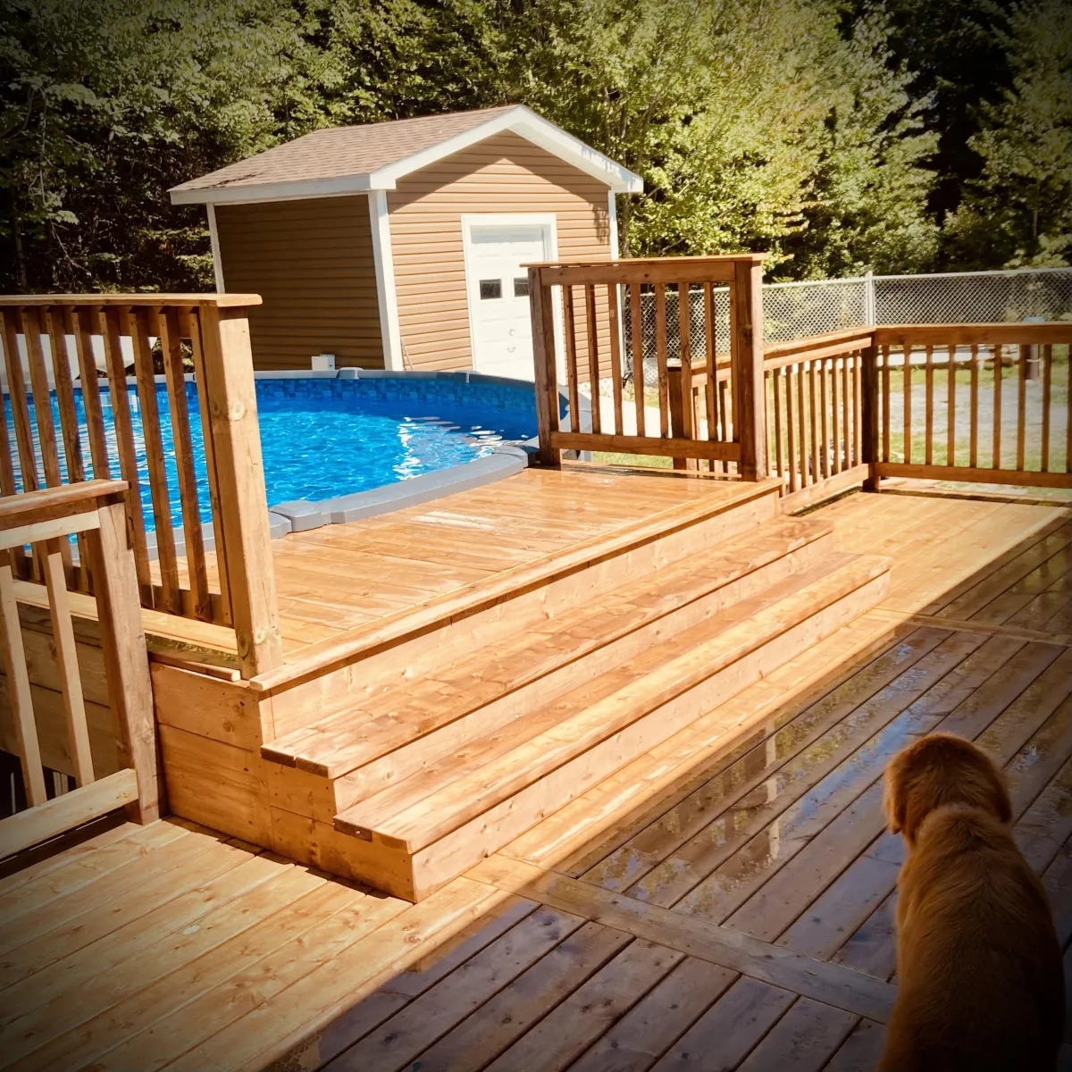Custom pressure-treated deck build in Fredericton backyard