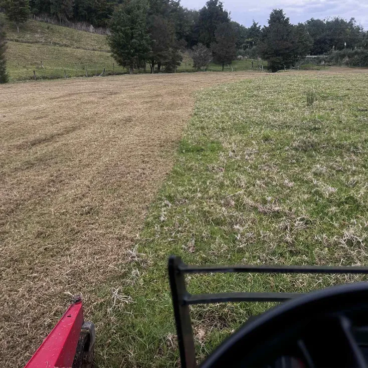 Heavy-duty mulcher clearing overgrown land