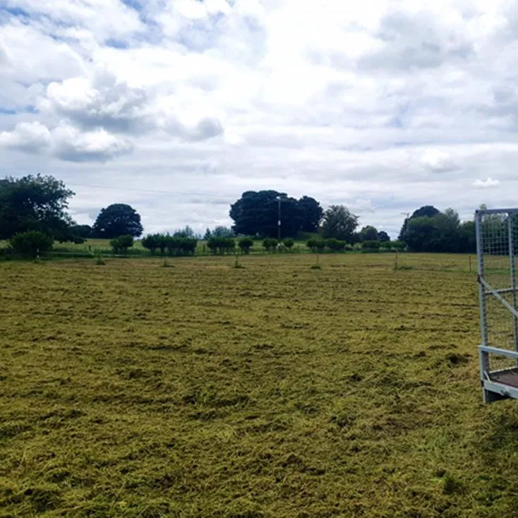 Cleared paddock ready for reuse