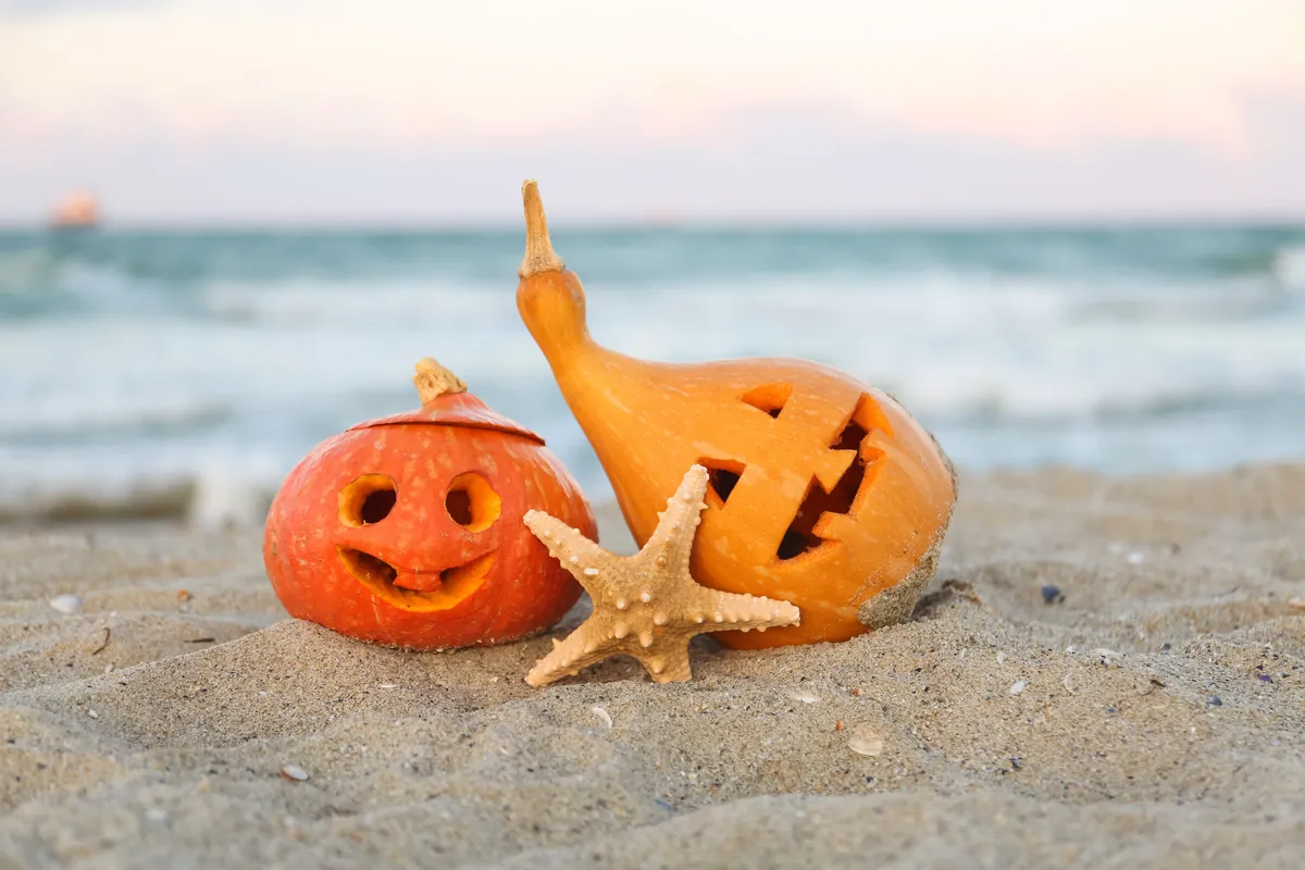 Why Fall Is a Great Time to Visit Corolla, North Carolina